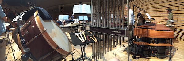 Percussion section of Albany Symphony