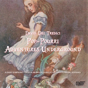 Cover of Adventures Underground